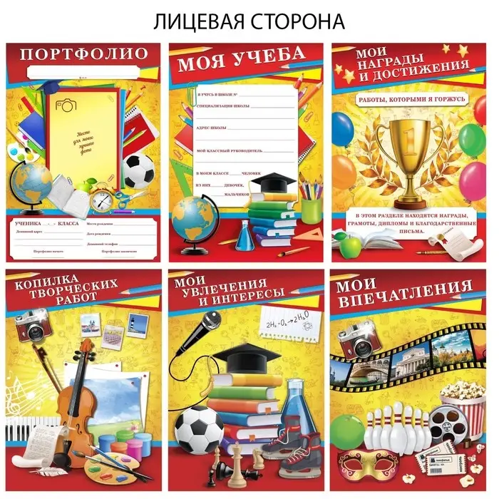 Папка школьная на кольцах «Портфолио школьника», 6 листов-разделителей, 24,5 х 32 см.