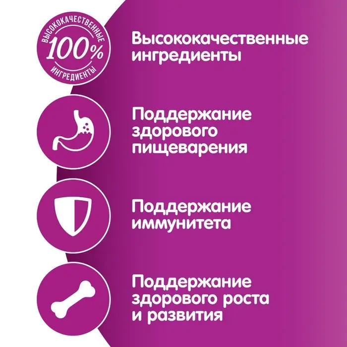 Влажный корм Whiskas для котят, рагу курица, 75 г Влажный корм Whiskas для котят, рагу курица, 75 г