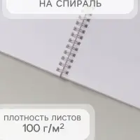 Альбом для рисования А4, 40 листов на гребне &laquo;Ван Кот&raquo;, блок офсет 100 г/м&sup2;, МИКС