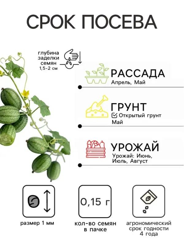 Семена Мелотрия шершавая &laquo;Колибри&raquo;, 0.015 г, &laquo;Урожай удачи&raquo;