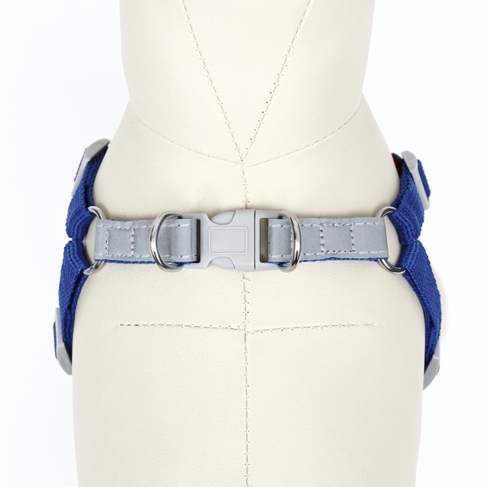 Комплект Sport+, L, поводок 120 x 1,5 см, ОШ 49-56 см, ОГ 56-68 см, вес животного 20-28 кг, синий 9 Комплект Sport+, L, поводок 120 x 1,5 см, ОШ 49-56 см, ОГ 56-68 см, вес животного 20-28 кг, синий 9