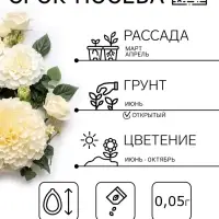 Семена цветов Тагетес, бархатцы прямые &laquo;Килиманджаро&raquo;, F1, 0.05 г, &laquo;Гавриш&raquo;