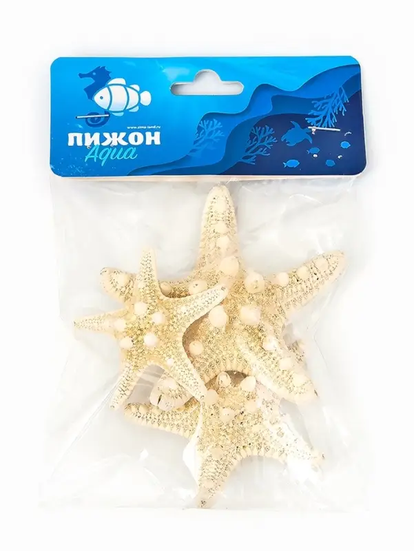 Набор из 3 морских звезд, размер 5-7 см, 7-10 см, 10-12 см, белый