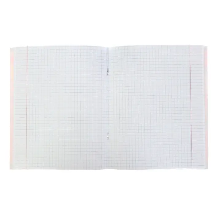 Тетрадь 48 листов в клетку Calligrata &laquo;Яркие цвета&raquo;, МИКС