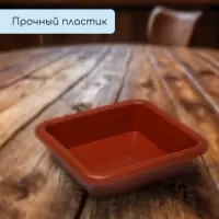 Ящик для рассады, 23.5&times;23.5&times;7 см, 3 л, пластик, цвет МИКС