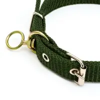 Ошейник двухслойный с вертлюгом, 2.5 см, зелёный