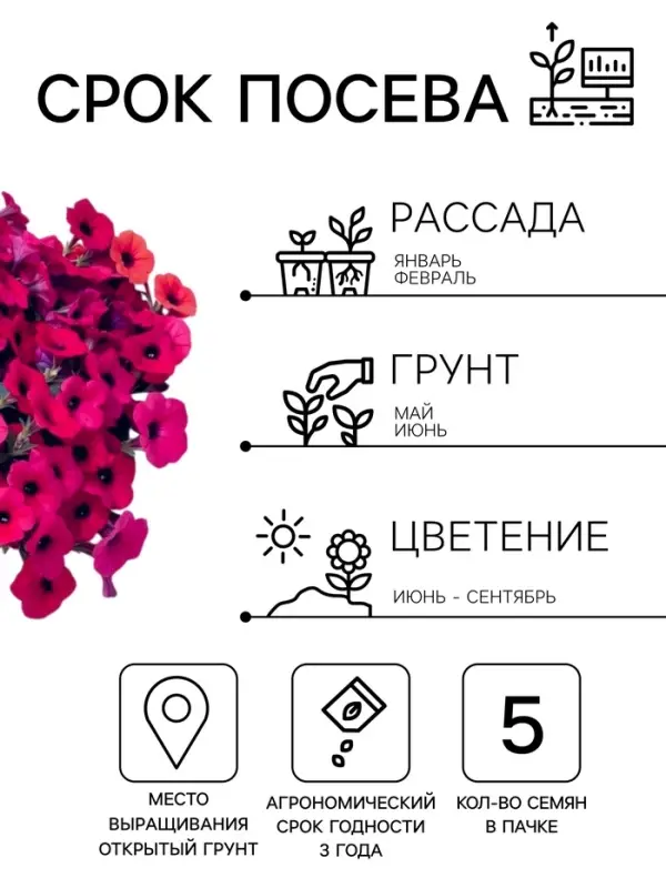 Семена цветов Петуния каскадная &laquo;Тайдал Вейв Парпл&raquo; 5 шт.