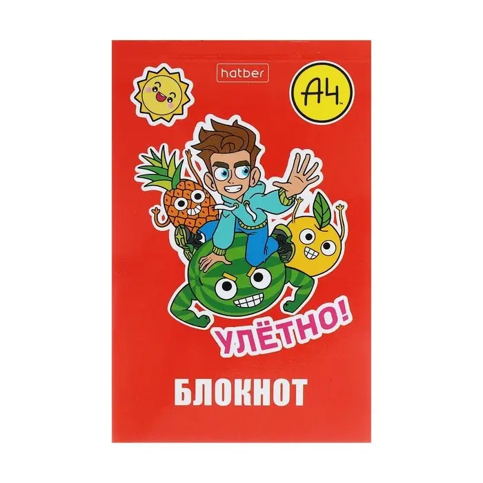 Блокнот А7, 48 листов, в клетку, на склейке, &laquo;Влад А4&raquo;, обложка мелованная бумага, ламинация, трёхцветный блок, блок 60 г/м&sup2;, 5 В МИКС