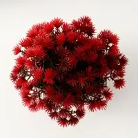 Искусственный цветок в горшке &laquo;Пушистые колючки&raquo;, 9&times;13 см, МИКС