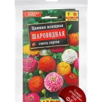 Набор семян Цинния Шаровидная, смесь окрасок, однолетник, 5 шт.