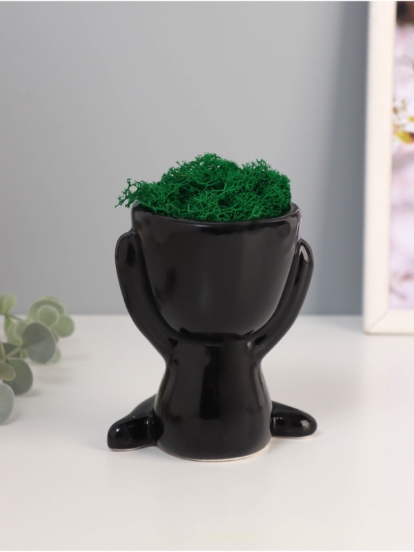 Кашпо керамика  Кашпо керамика "Мистер Грин" любитель тишины 11,5*10*9 см черный