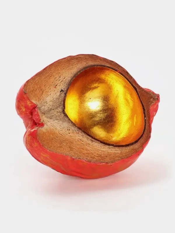 Чаша из кокоса, 24&times;22&times;10 см, красно-золотая
