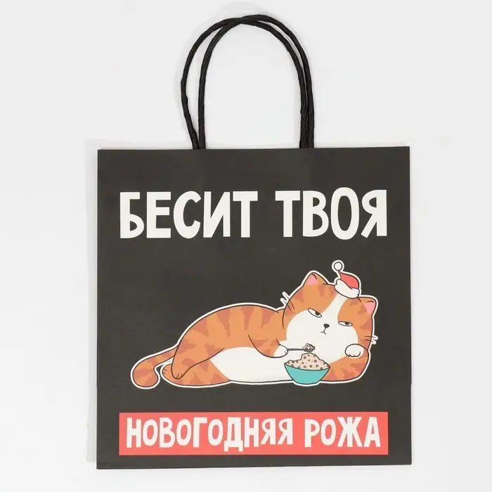Пакет подарочный новогодний &laquo;Рожа&raquo;, 22 х 22 х 11 см