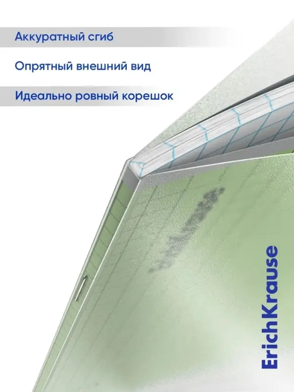 Тетрадь 24 листа в клетку, ErichKrause &laquo;Классика CoverPro&raquo;, пластиковая обложка, зелёная