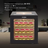 Сушка для фруктов и овощей HYFD-8804 20под. 850Вт