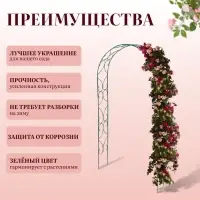 Арка садовая, 240&times;120&times;30 см, для вьющихся растений, металлическая, зелёная, &laquo;Узор-2&raquo;