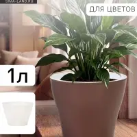 Кашпо для цветов &laquo;Афина&raquo;, 1 л, d=14 см, h=12 см, пластиковое, со вставкой, коричневое