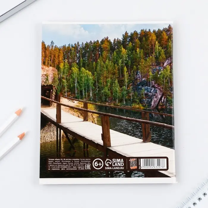 Тетрадь в линейку, предметная, 48 л.,на скрепке, А5 &laquo;ПРИРОДА. Литература&raquo;