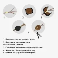 Шар для укоренения растений, d=11.5 см, под ветку 1.6 см, чёрный, Greengo