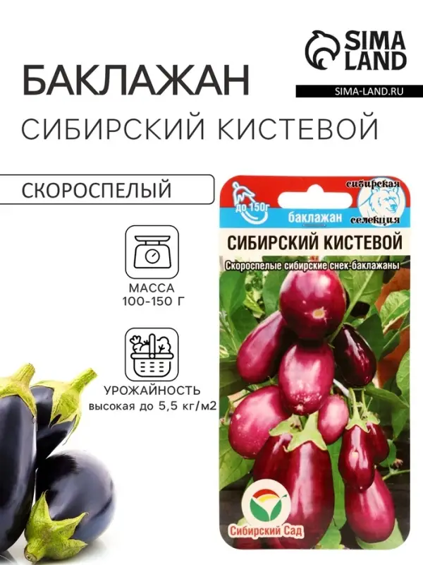 Семена Баклажан &laquo;Сибирский кистевой&raquo;, 20 шт., &laquo;Сибирский сад&raquo;