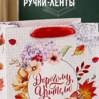 Пакеты подарочные &laquo;Самому любимому учителю&raquo;, набор 3 шт., 18&times;23&times;10 см