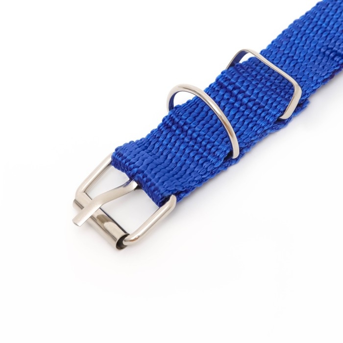 Ошейник клёпаный, 40,5 х 2 см, ОШ 26-34 см, полиэстер, синий Ошейник клёпаный, 40,5 х 2 см, ОШ 26-34 см, полиэстер, синий