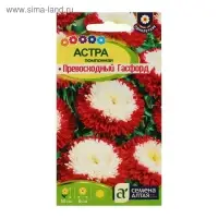 Семена цветов Астра "Превосходный Гасфорд" помпонная, О, ц/п, 0,2 г Семена цветов Астра "Превосходный Гасфорд" помпонная, О, ц/п, 0,2 г
