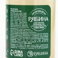 Подарочный набор новогодний в санях: гель для душа 2 шт., соль для ванны и мочалка, URAL LAB Подарочный набор новогодний в санях: гель для душа 2 шт., соль для ванны и мочалка, URAL LAB