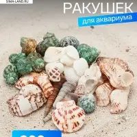 Набор ракушек &laquo;Пижон Аква&raquo;, 200 г, микс №1