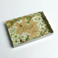 Коробка для печенья, кондитерская упаковка с PVC крышкой, «Пчёлка», 22 х 15 х 3 см