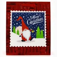 Набор подарочных пакетов «Новый год», 2 шт,  25,4 × 30,5 × 12,7 см