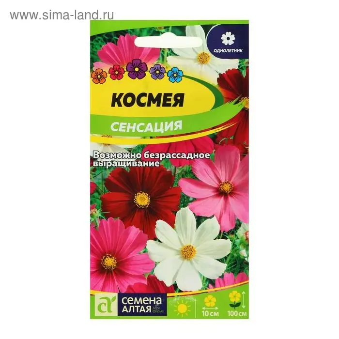 Семена цветов Космея  Семена цветов Космея "Сенсация", ц/п,  О, ц/п, 0,5 г