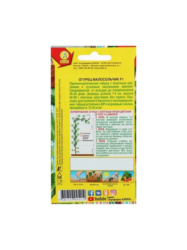 Семена Огурец Семена Огурец "Малосольчик F1", раннеспелый, партенокарпический, 10 шт