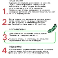 Семена Огурец "Тополек", F1, Сем. Алт, ц/п, 0,3 г