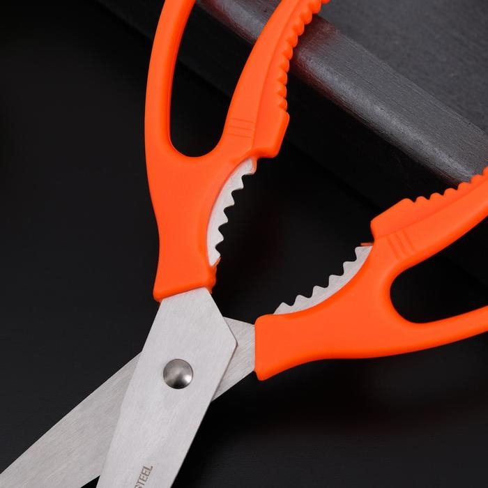 Ножницы кухонные Доляна «Саймон», 23 см, цвет зелёный Ножницы кухонные Доляна «Саймон», 23 см, цвет зелёный