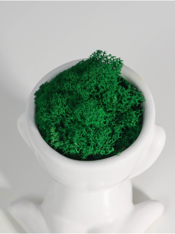 Кашпо керамика  Кашпо керамика "Мистер Грин" любитель тишины 11,5*10*9 см белый