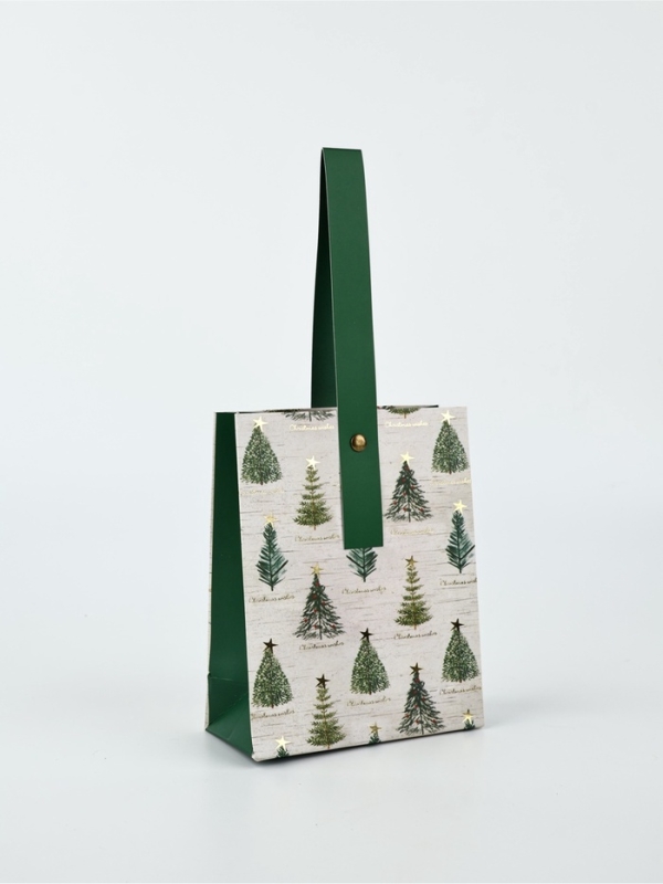 Пакет подарочный новогодний ламинированный «Новогодние мечты», S 5.5 см х 15 см х 12 см Пакет подарочный новогодний ламинированный «Новогодние мечты», S 5.5 см х 15 см х 12 см