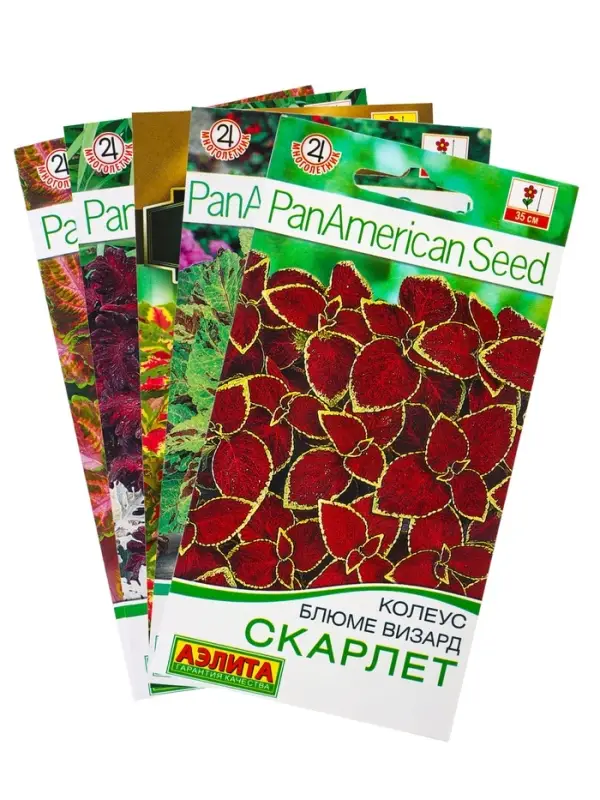 Набор семян цветов Колеус