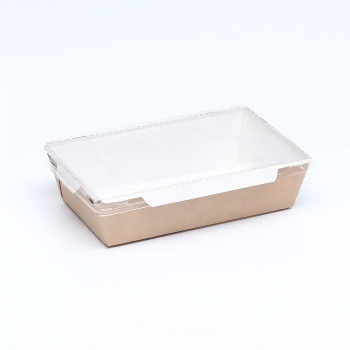 Контейнер с плоской крышкой, крафт, 0,8 л, 19 х 13 х 5,5 см Контейнер с плоской крышкой, крафт, 0,8 л, 19 х 13 х 5,5 см