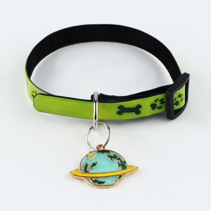 Ошейник светоотражающий «Лапки» с подвесом, 30 х 1 см, цвет зелёный Ошейник светоотражающий «Лапки» с подвесом, 30 х 1 см, цвет зелёный