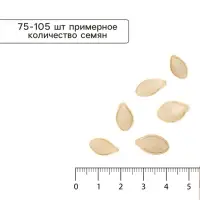 Семена Кабачок цуккини &laquo;Зебра&raquo;, XXXL, &laquo;Сембат&raquo;, 15 г