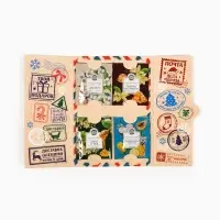 Чай новогодний в пакетиках &laquo;Новогодняя посылка&raquo; в конверте, 7.2 г (4 шт.&times;1.8 г)