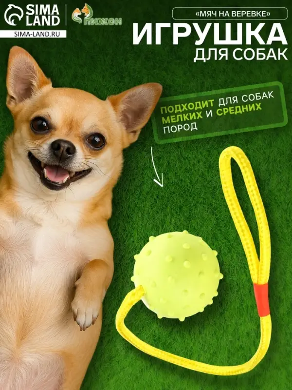 Игрушка для собак, мяч на веревке, 6 см, салатовая, жёлтая
