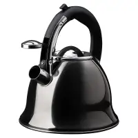 VETTA Чайник стальной 2,6л "Мари", индукция