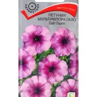 Семена цветов Петуния мультифлора Гало Лайт Парпл, 10шт