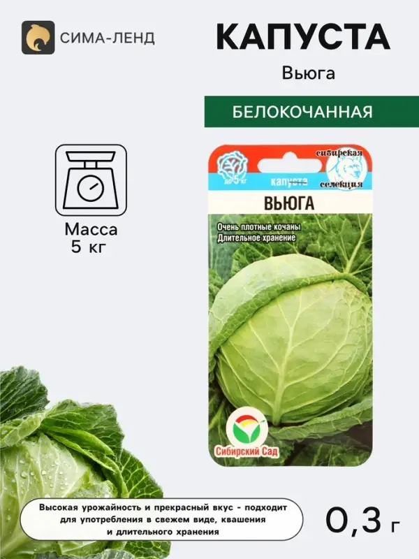 Семена Капусты белокочанной &laquo;Вьюга&raquo;, 0.3 г, &laquo;Сибирский сад&raquo;