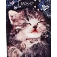 Блокнот А6, 24 листа в клетку на скрепке «Котята», обложка мелованный картон, МИКС