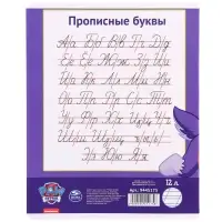 Тетрадь в косую линейку 12 листов, 5 видов МИКС, обложка мелованный картон, «Щенячий патруль»