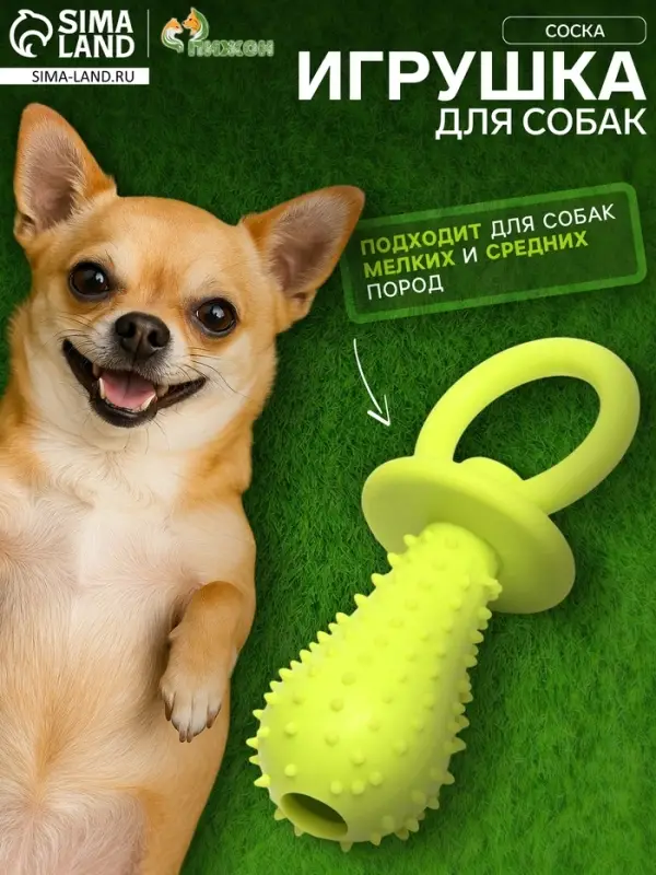 Жевательная игрушка для собак &laquo;Соска&raquo;, 10&times;3 см, TPR, салатовая