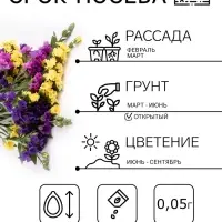 Семена цветов Статица &laquo;Мечта флориста&raquo;, смесь, 0.1 г, однолетник, &laquo;Агроуспех&raquo;
